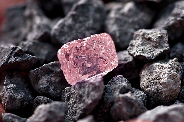 Argyle Pink Jubilee Diamond Argyle Pink Jubilee Diamond1 Sometimes, the Difference between a $12 Million Dollars Pink Diamond and $1M Pink is... Luck