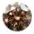 Fancy Dark Brown Diamond